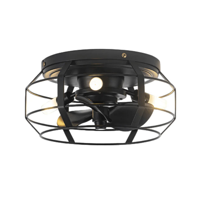 12" Flush Mount Low Profile Caged Small Ceiling Fan with Light and Remote Control