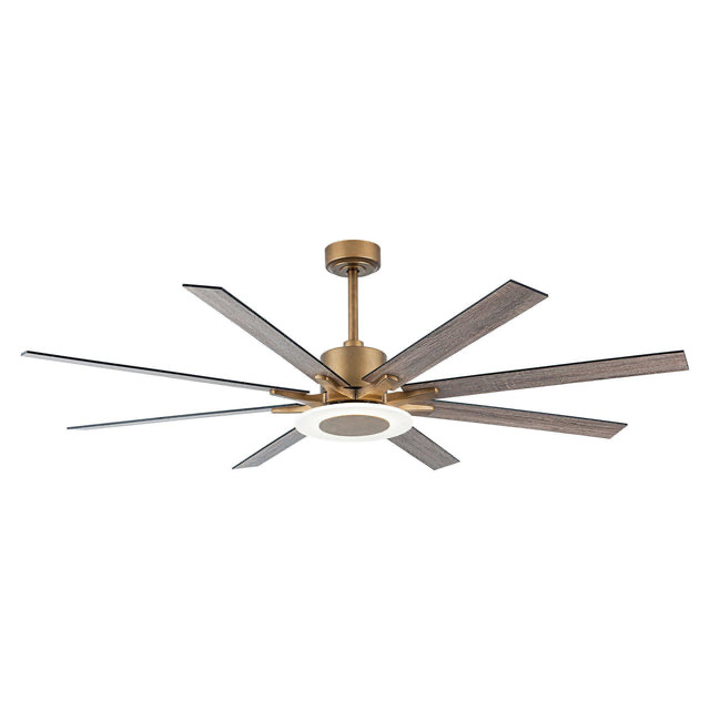 65" Modern Downrod Mount Reversible Ceiling Fan with Led Lighting and Remote Control