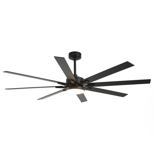 65 Inch Teresa Modern Double-sided Blades Ceiling Fan with Remote Control and LED Light
